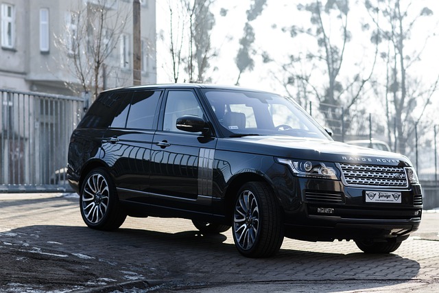 range rover 2015643 640