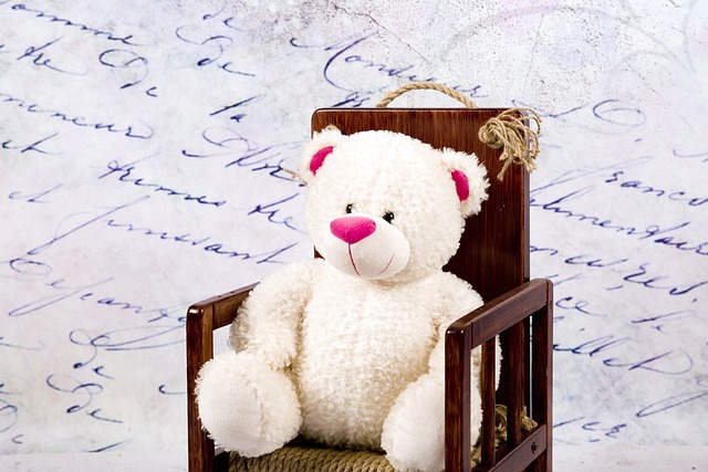teddy bear 1678242 640